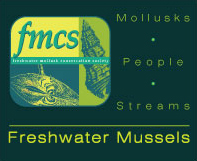 Freshwater Mussel Reproduction